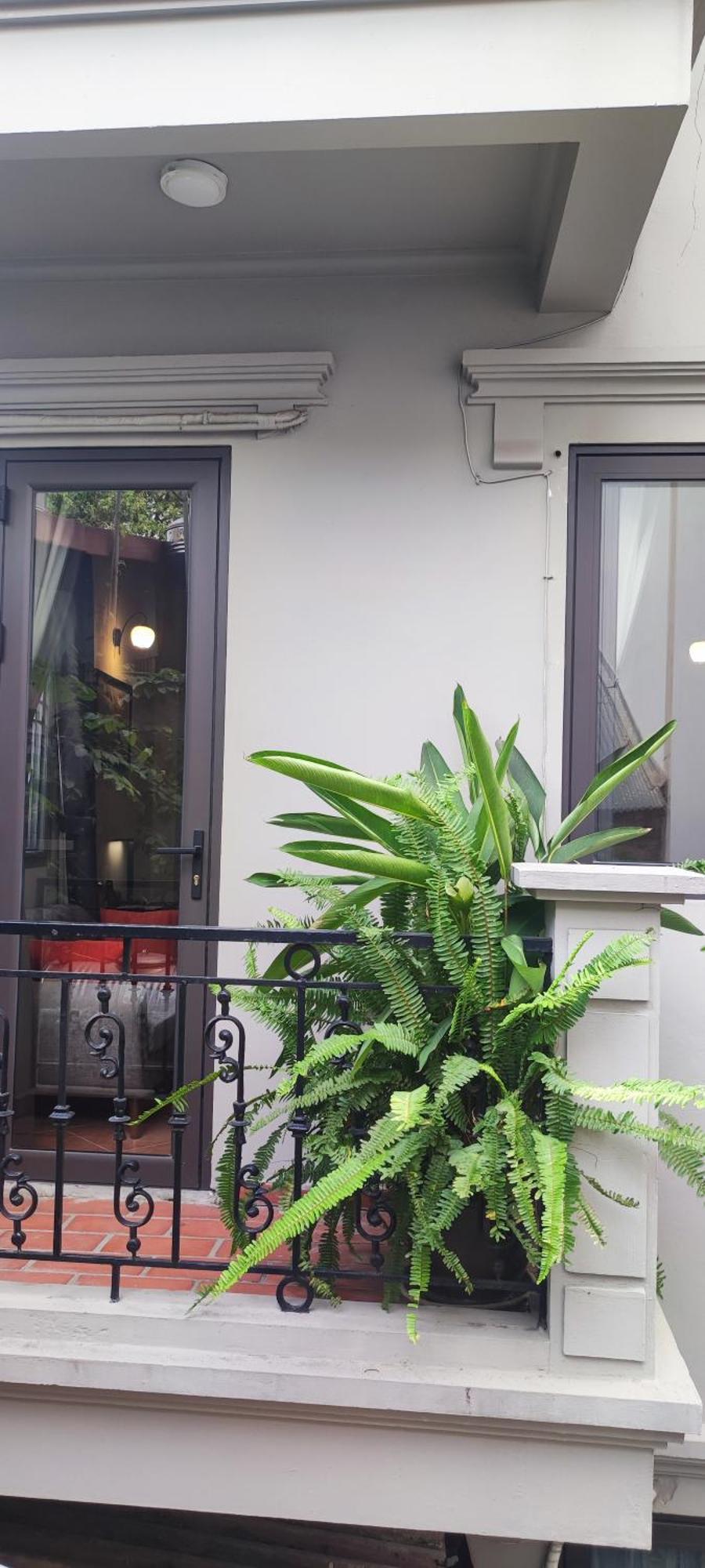 T Home Balcony Homestay Ханой Екстериор снимка
